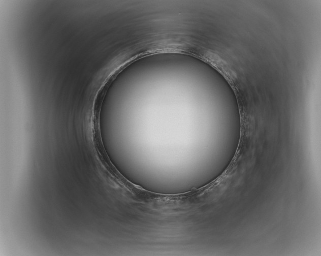 X0000111630338200907171531