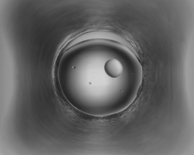 X0000111630340200907171531