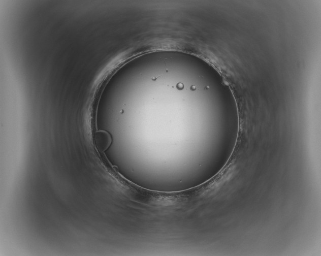 X0000111630341200907171531