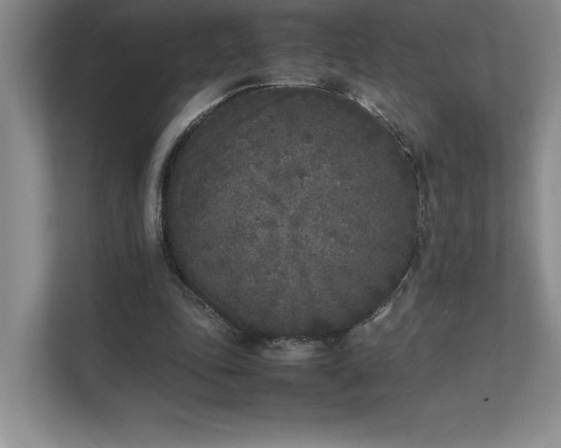 X0000111630343200907171531