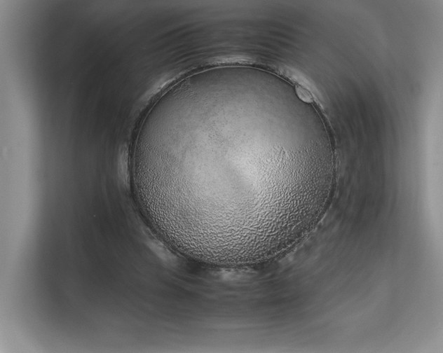 X0000111630345200907171531