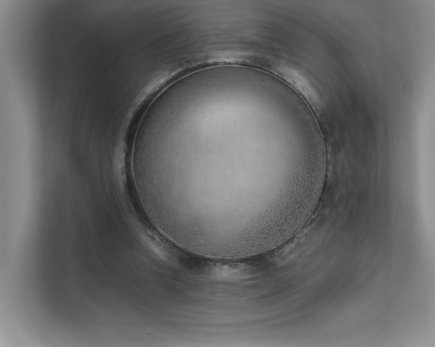 X0000111630346200907171531