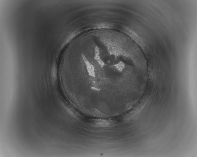 X0000111630347200907171531