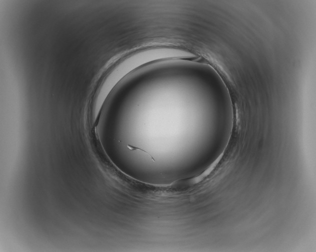 X0000111630348200907171531