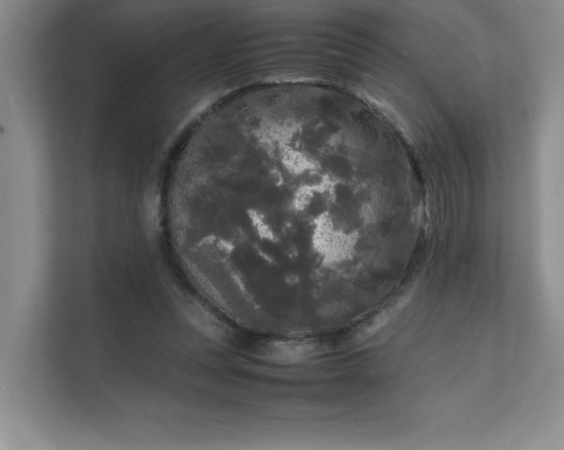 X0000111630351200907171531