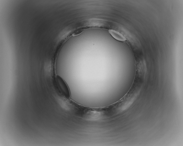 X0000111630352200907171531