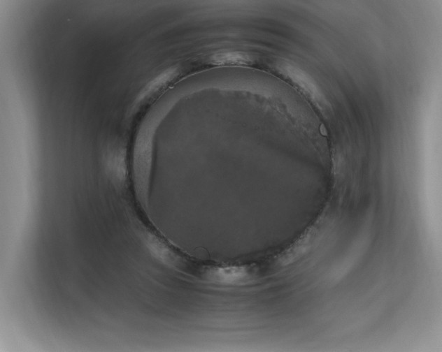 X0000111630353200907171531