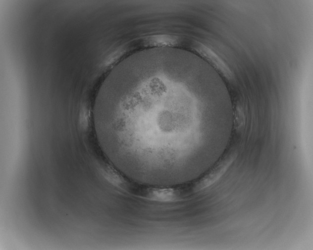 X0000111630355200907171531