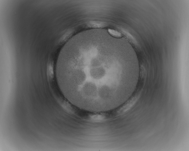 X0000111630358200907171531