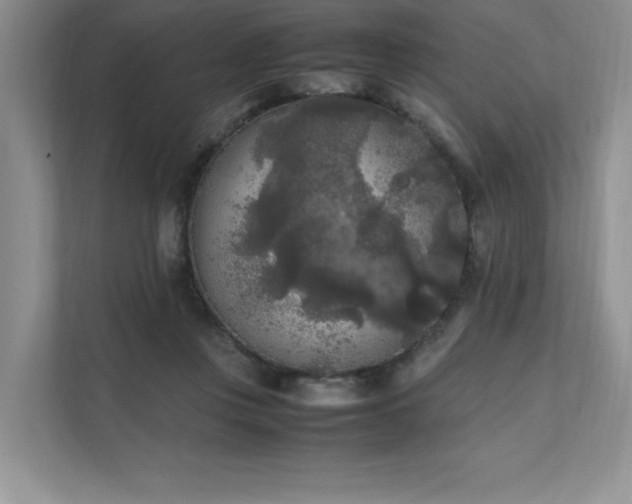 X0000111630359200907171531