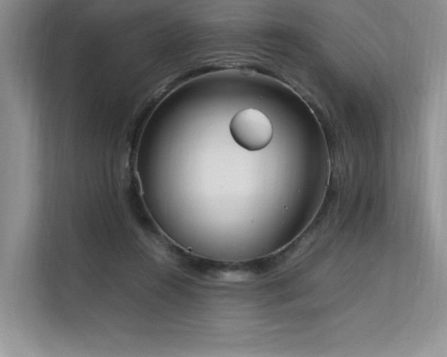 X0000111630360200907171531