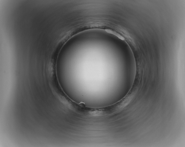 X0000111630362200907171531