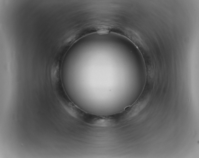 X0000111630364200907171531