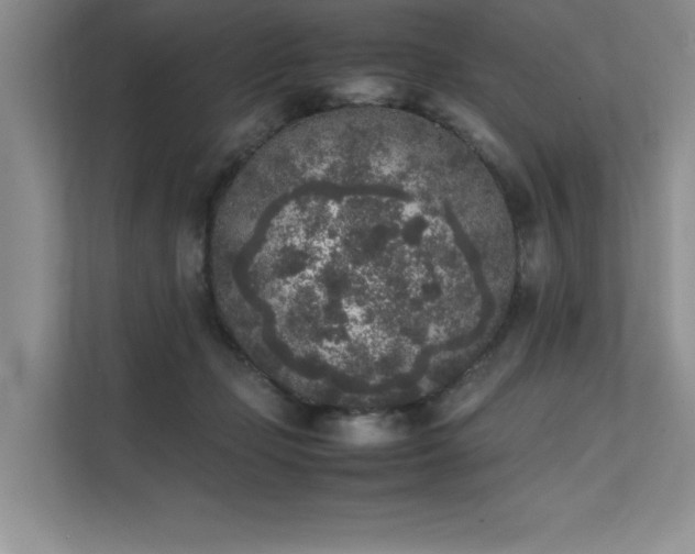 X0000111630365200907171531