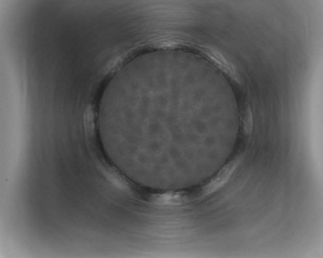 X0000111630366200907171531