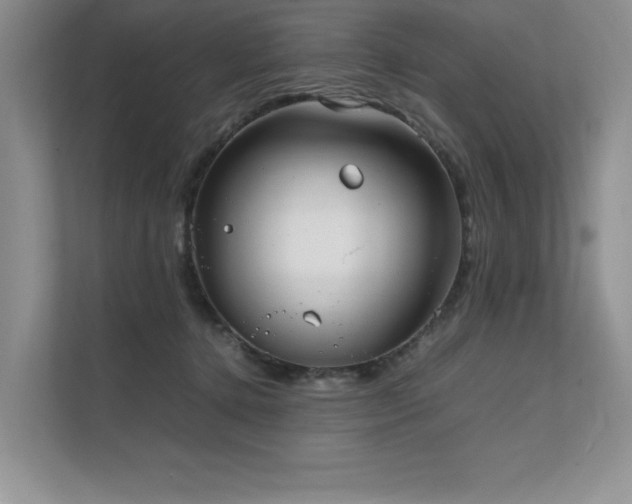 X0000111630368200907171531