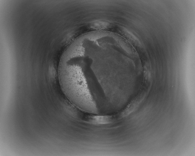 X0000111630371200907171531