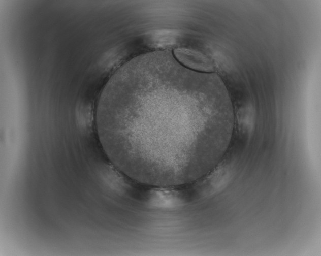 X0000111630372200907171531