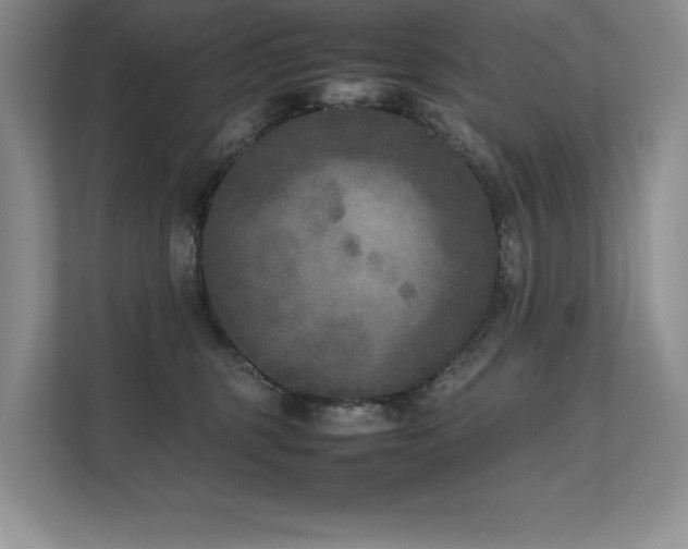 X0000111630375200907171531