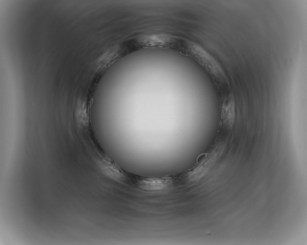 X0000111630381200907171532