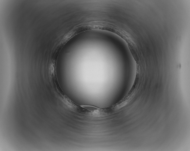 X0000111630382200907171532