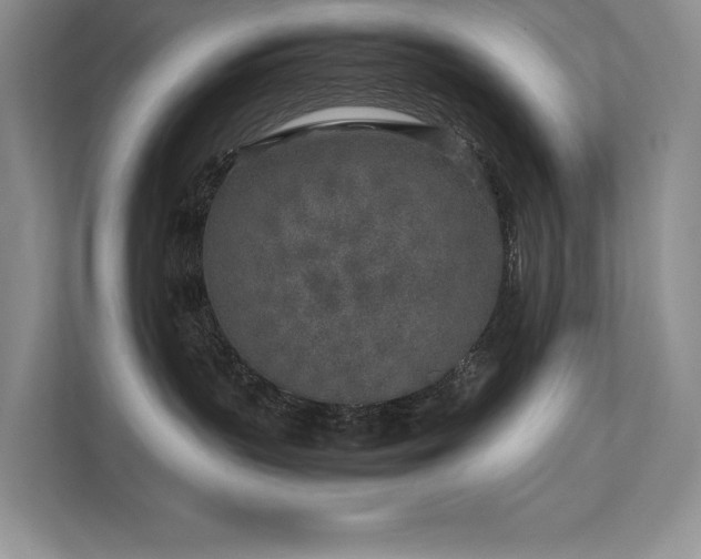 X0000111630383200907171532