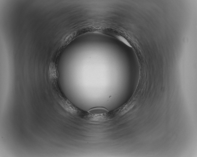 X0000111630384200907171532