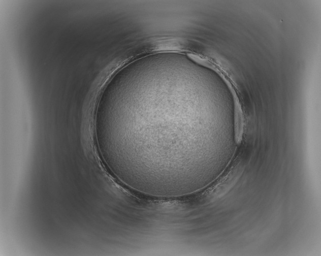 X0000111630385200907171531