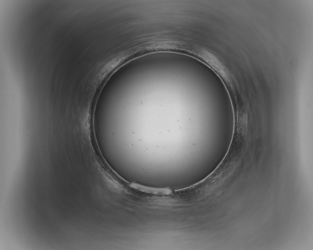 X0000111630389200907171531