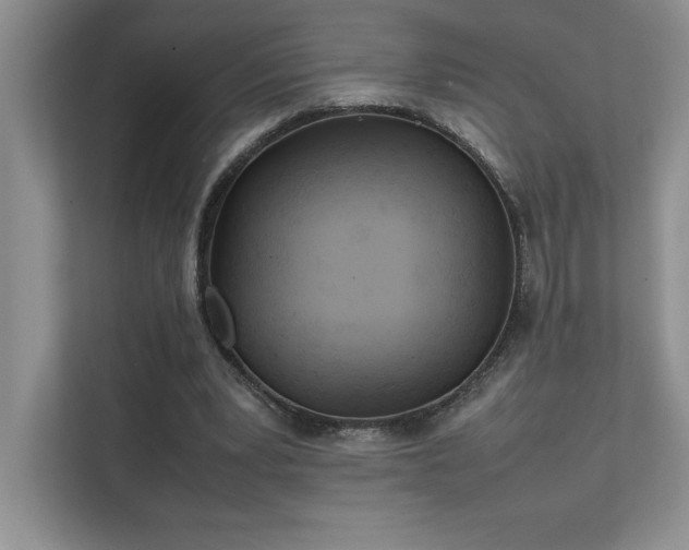 X0000111630391200907171531