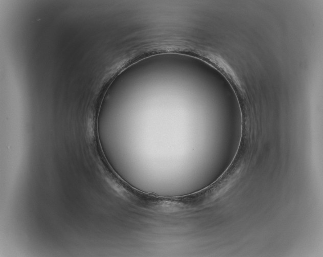 X0000111630393200907171531