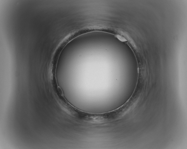 X0000111630395200907171531