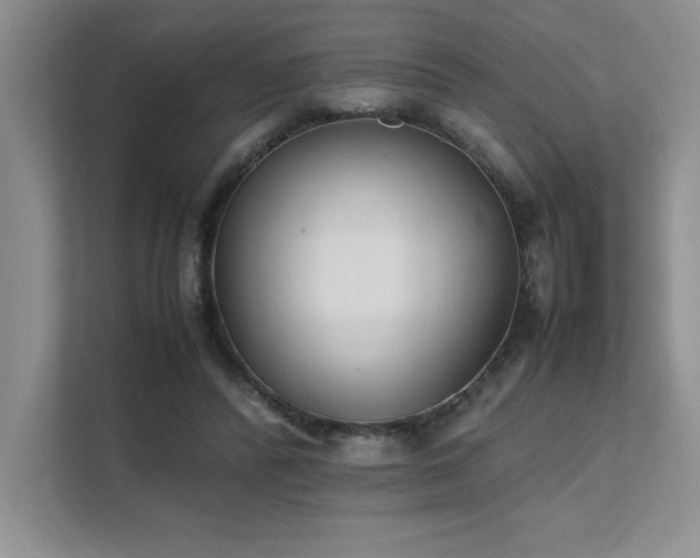 X0000111630400200907171531