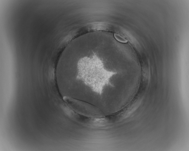 X0000111630401200907171531