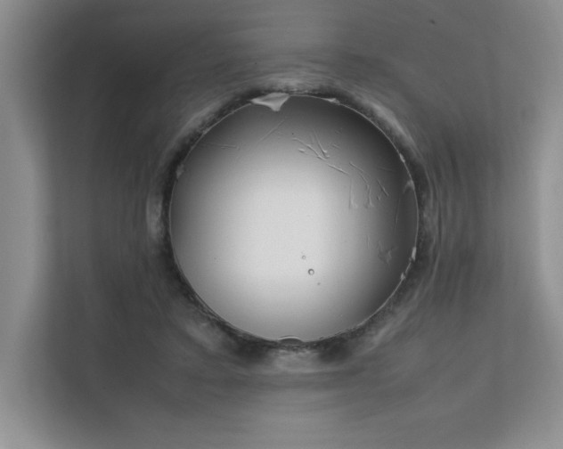 X0000111630403200907171531