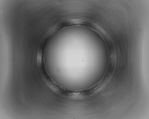 X0000111630406200907171531