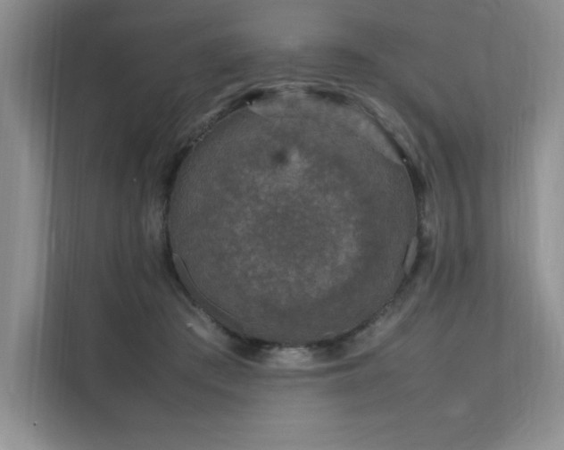 X0000111630409200907171531