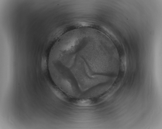 X0000111630410200907171531