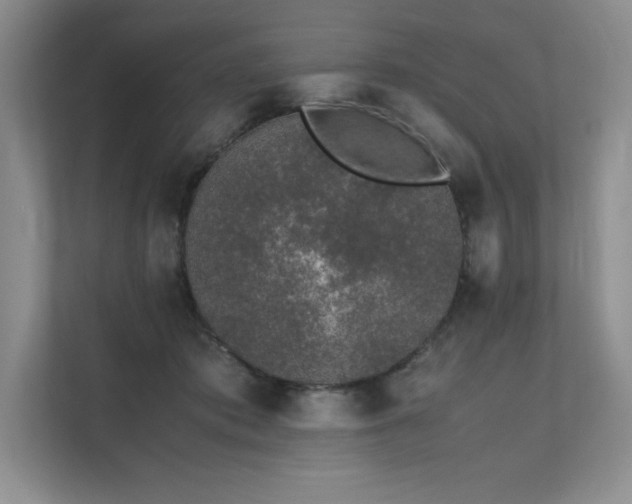 X0000111630413200907171531