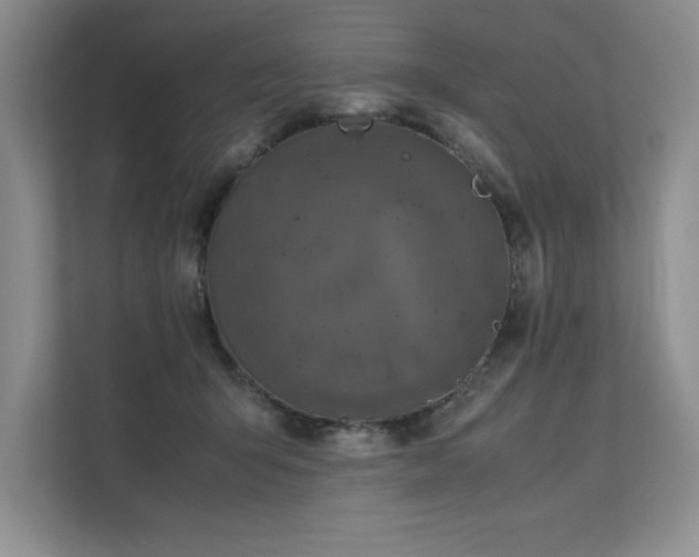 X0000111630415200907171531