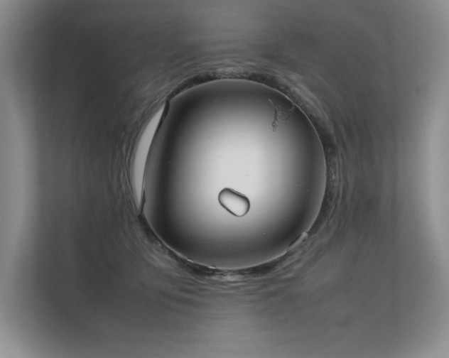 X0000111630419200907171531