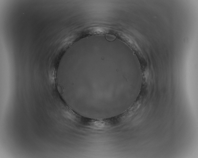 X0000111630423200907171530