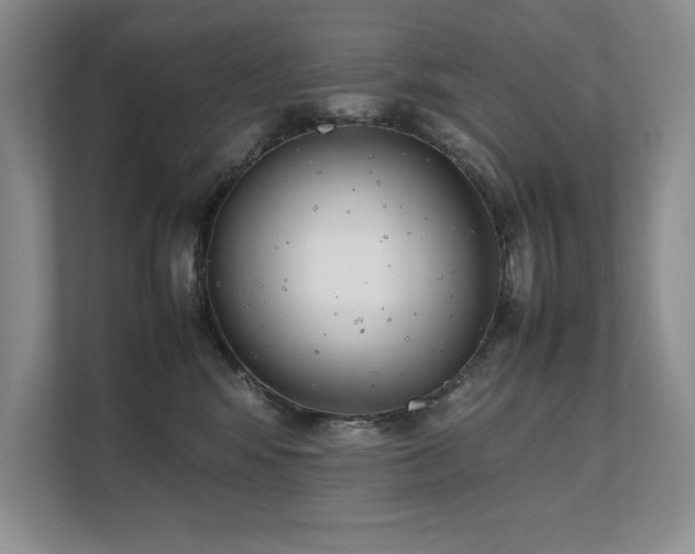 X0000111630424200907171530