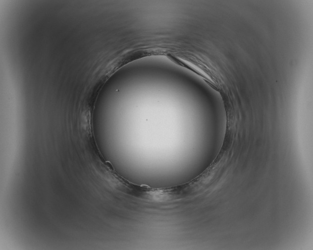 X0000111630425200907171530