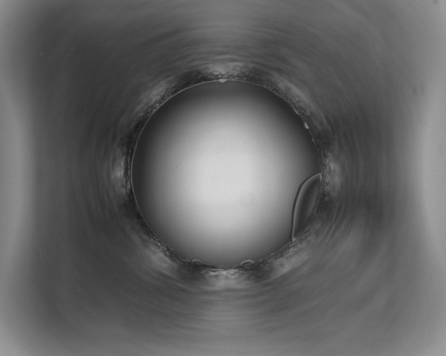 X0000111630428200907171530