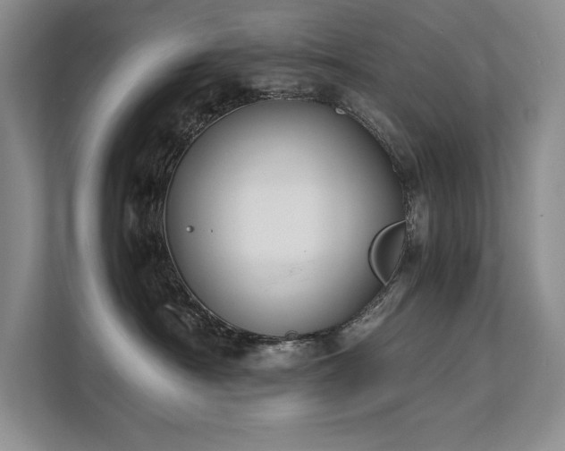 X0000111630430200907171530