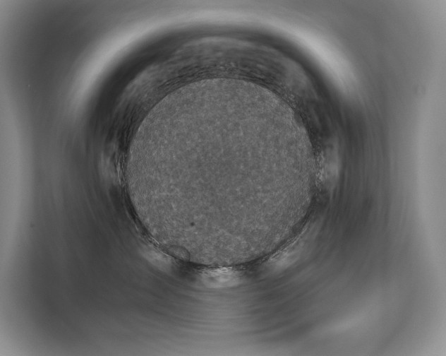 X0000111630431200907171530