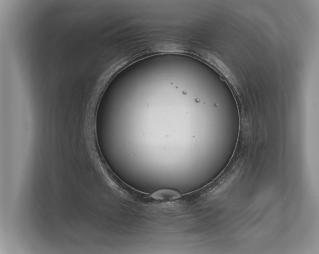 X0000111630433200907171530