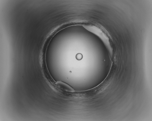 X0000111630436200907171530