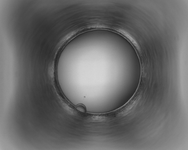 X0000111630437200907171530